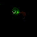 Hulks: 2