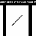 life - part thirteen