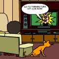 directors cut