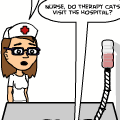 21- Therapy Cat