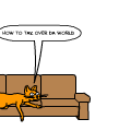 kitty cats