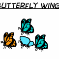 Butterfly Wings