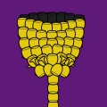 'Gobs of Goblets'