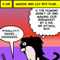 Joint Dog-Cat Attack