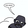 hate snow