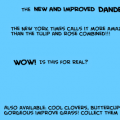 Ordinary Improvements