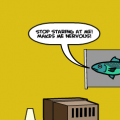 Stop Staring!