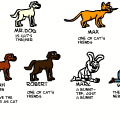 cat's school