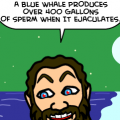 The Seven Sweaty Seas