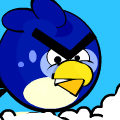 Angry Blue Bird
