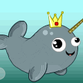 Narwhals