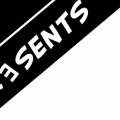 Generistrip 29