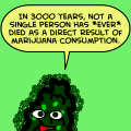The Wisdom and Kindness of Bud