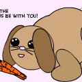 Bunny(fail)