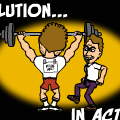 TotD: Kick