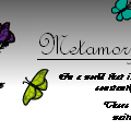 Metamorphosis