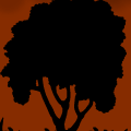 'Dark forest'