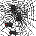 TotD: Phobia