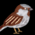 Sparrow and Sun Flower Seed