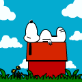 On the top of his house