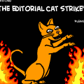 the editoriol cat strike's back