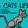 A Cats Life.