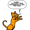 this cat is annoing