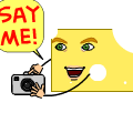 TotD: Photo