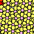 'Flowerbed'