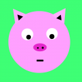 pig