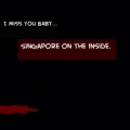 'Singapore On the Inside'