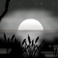 TotD: SUNSET.2.