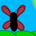 butterfly