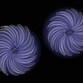 'Asters.'Remix.