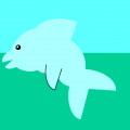 Dolphin