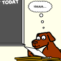 TotD: Bark