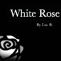 White Rose