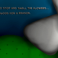 'THE LITTLE THINGS'