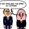 mcain's pregnancy!