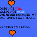 My True Love