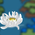 TotD: Bloom