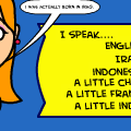 Language Remix