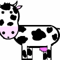 Cows Are Awesome