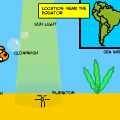 'The Tropical Ocean'