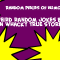 Random Peices of Humor