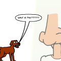  Confused
