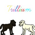 Trillium