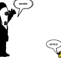 TotD: Ducks