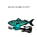 TotD: Bass