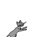 it's caterday